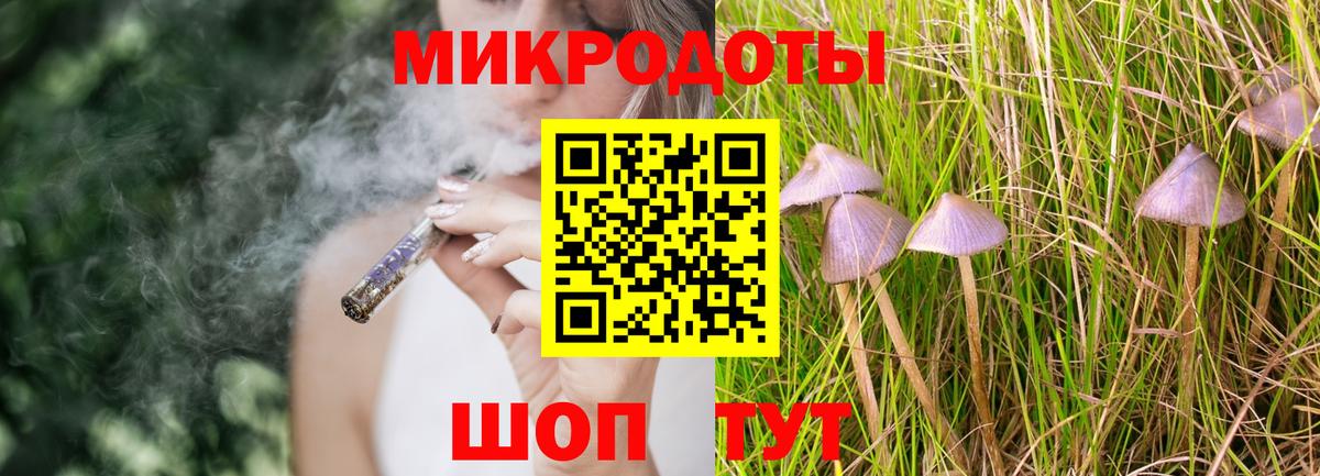 Галлюциногенные грибы Cubensis Гусиноозёрск