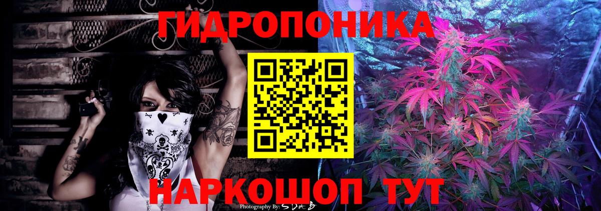 Бошки Шишки ГИДРОПОН  Вход с VPN  Конопля Amnesia  Конопля AK-47  Гусиноозёрск 